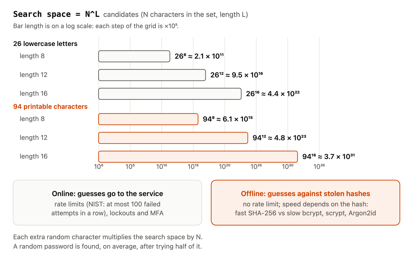 Bar chart on a log scale, grid steps of 10^5, of search space = N^L candidates. 26 lowercase letters: length 8, 26^8 ≈ 2.1 × 10^11; length 12, 26^12 ≈ 9.5 × 10^16; length 16, 26^16 ≈ 4.4 × 10^22. 94 printable characters: length 8, 94^8 ≈ 6.1 × 10^15; length 12, 94^12 ≈ 4.8 × 10^23; length 16, 94^16 ≈ 3.7 × 10^31. Below, two boxes. Online, guesses go to the service: rate limits (NIST: at most 100 failed attempts in a row), lockouts and MFA. Offline, guesses against stolen hashes: no rate limit, and speed depends on the hash: fast SHA-256 versus slow bcrypt, scrypt and Argon2id. Notes: each extra random character multiplies the search space by N; a random password is found, on average, after trying half of it.