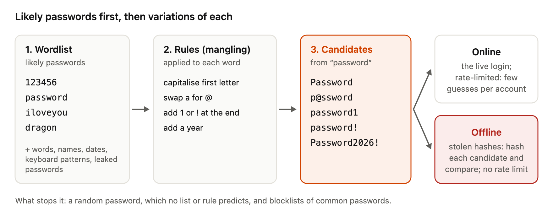Diagram of a dictionary attack pipeline. Step 1, the wordlist of likely passwords: 123456, password, iloveyou, dragon, plus words, names, dates, keyboard patterns and leaked passwords. Step 2, rules (mangling) applied to each word: capitalise the first letter, swap a for @, add 1 or ! at the end, add a year. Step 3, candidates made from "password": Password, p@ssword, password1, password!, Password2026!. The candidates are tried either online, against the live login, which is rate-limited to few guesses per account, or offline, against stolen hashes, where each candidate is hashed and compared with no rate limit. What stops it: a random password, which no list or rule predicts, and blocklists of common passwords.