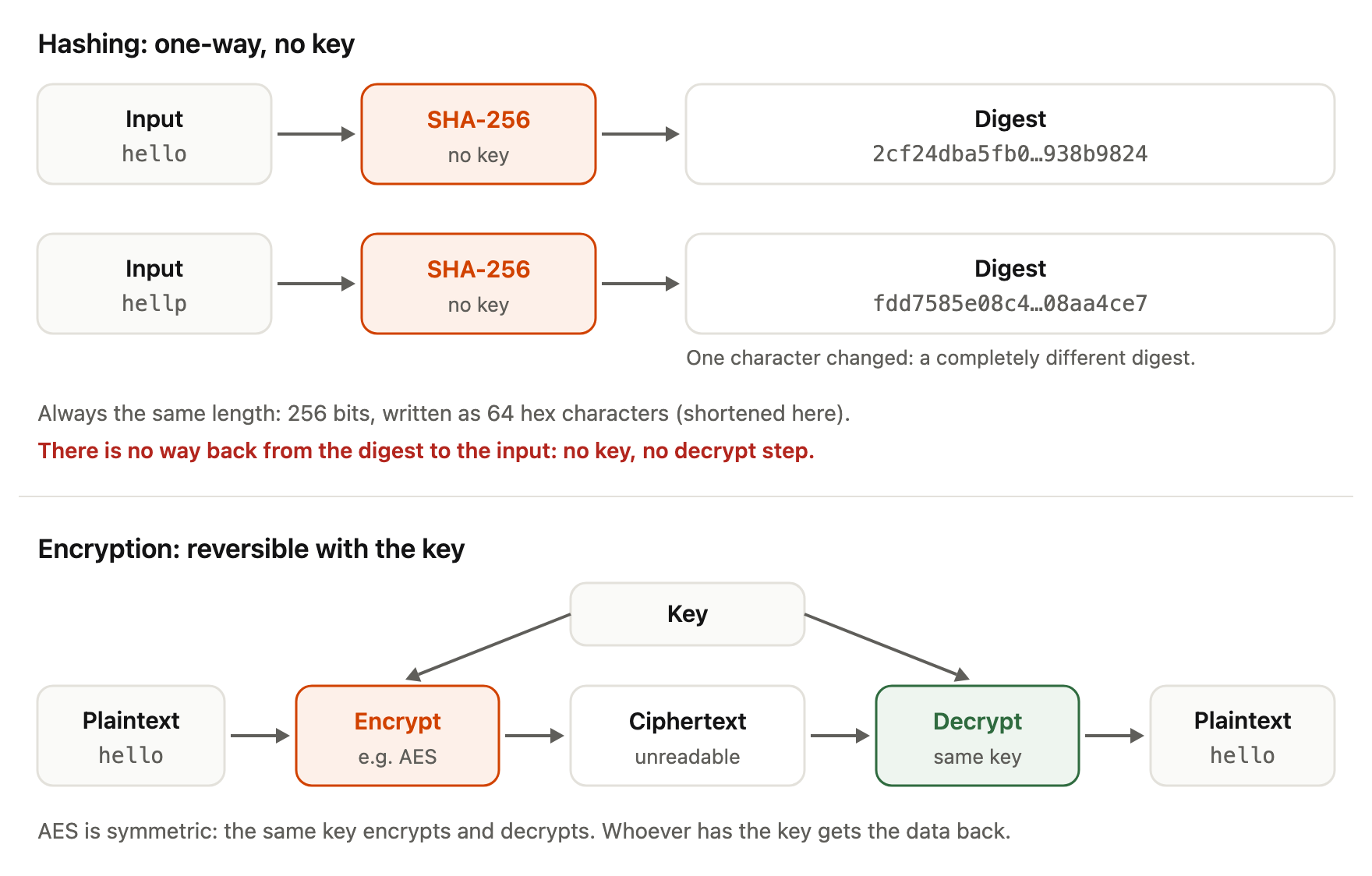 Two flows compared. Hashing, one-way with no key: the input hello goes through SHA-256 to the digest 2cf24dba5fb0…938b9824, and the input hellp, one character different, gives the completely different digest fdd7585e08c4…08aa4ce7. The digest always has the same length, 256 bits written as 64 hexadecimal characters (shortened in the picture), and there is no way back from the digest to the input: no key and no decrypt step. Encryption, reversible with the key: the plaintext hello goes through Encrypt (for example AES) to unreadable ciphertext, then Decrypt with the same key returns the plaintext hello. AES is symmetric: the same key encrypts and decrypts, so whoever has the key gets the data back.