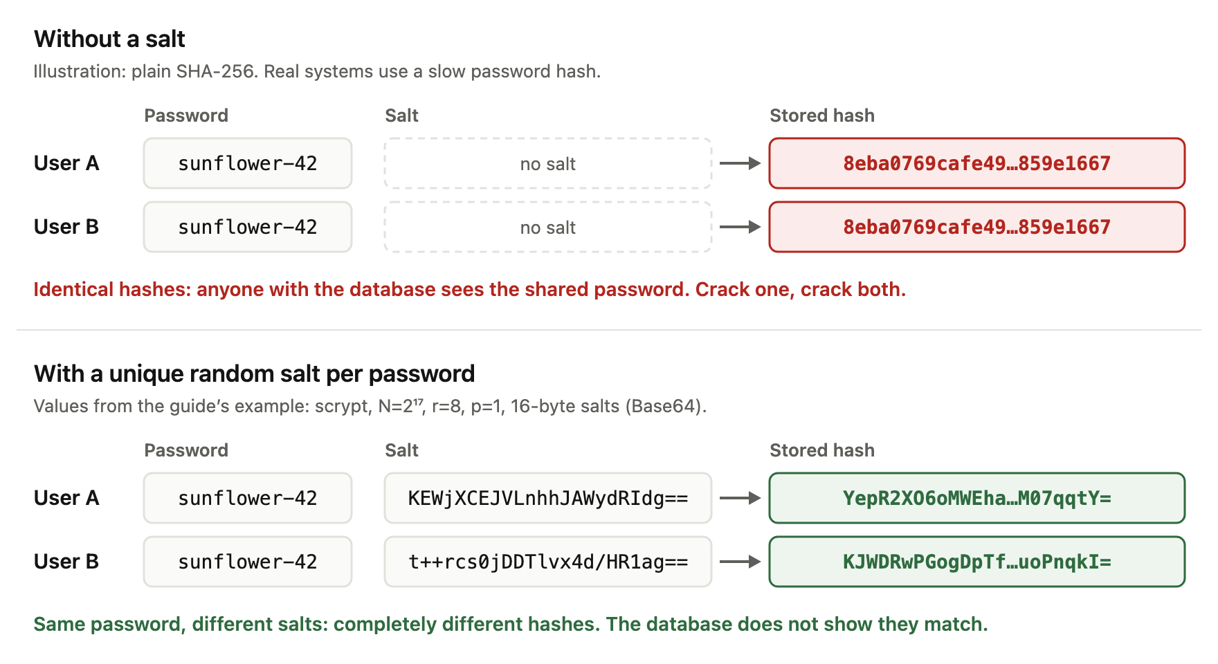 Two users, User A and User B, both with the password sunflower-42. Without a salt (an illustration using plain SHA-256; real systems use a slow password hash) both stored hashes are the identical value 8eba0769cafe49…859e1667, so anyone with the database sees the shared password, and cracking one cracks both. With a unique random salt per password (the values from the example above: scrypt, N=2^17, r=8, p=1, 16-byte salts in Base64), User A has the salt KEWjXCEJVLnhhJAWydRIdg== and the hash YepR2XO6oMWEha…M07qqtY=, and User B has the salt t++rcs0jDDTlvx4d/HR1ag== and the hash KJWDRwPGogDpTf…uoPnqkI=. Same password, different salts: completely different hashes, and the database does not show that they match.